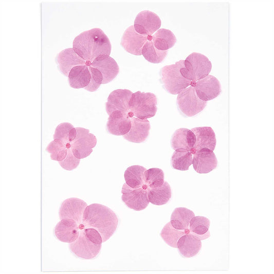 Prässätyt kukat - Pinkki