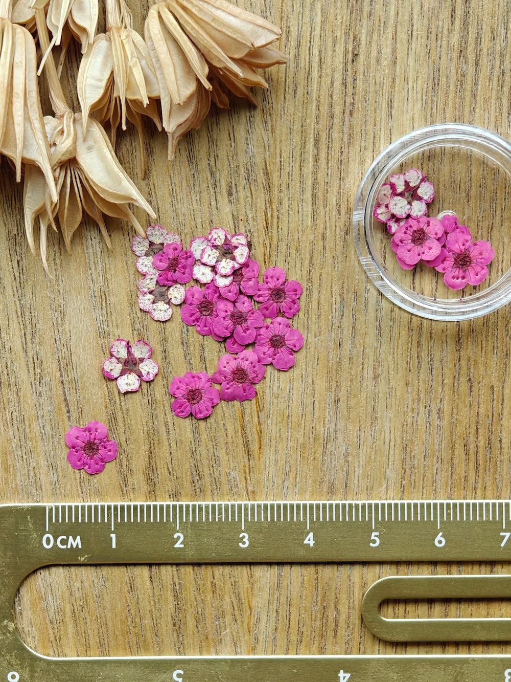 Prässätyt kukat - Pieni kukka Pinkki