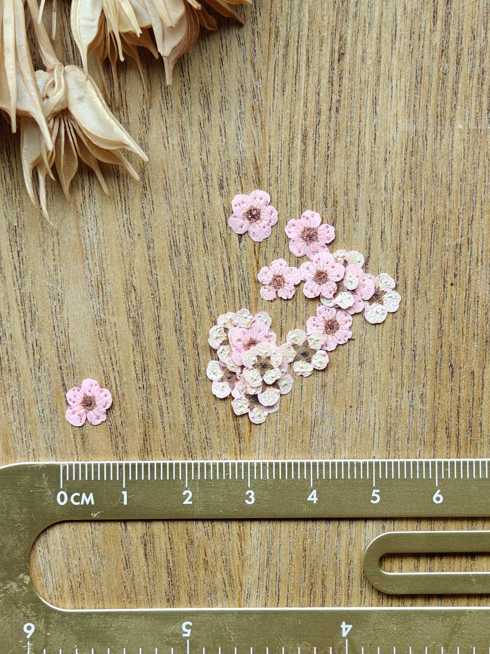 Kuivakukkia resiiniin